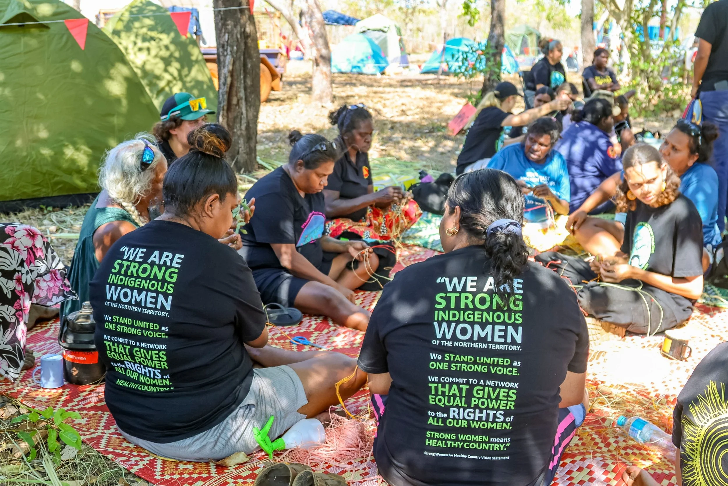 Supporting the Strong Women for Healthy Country Network