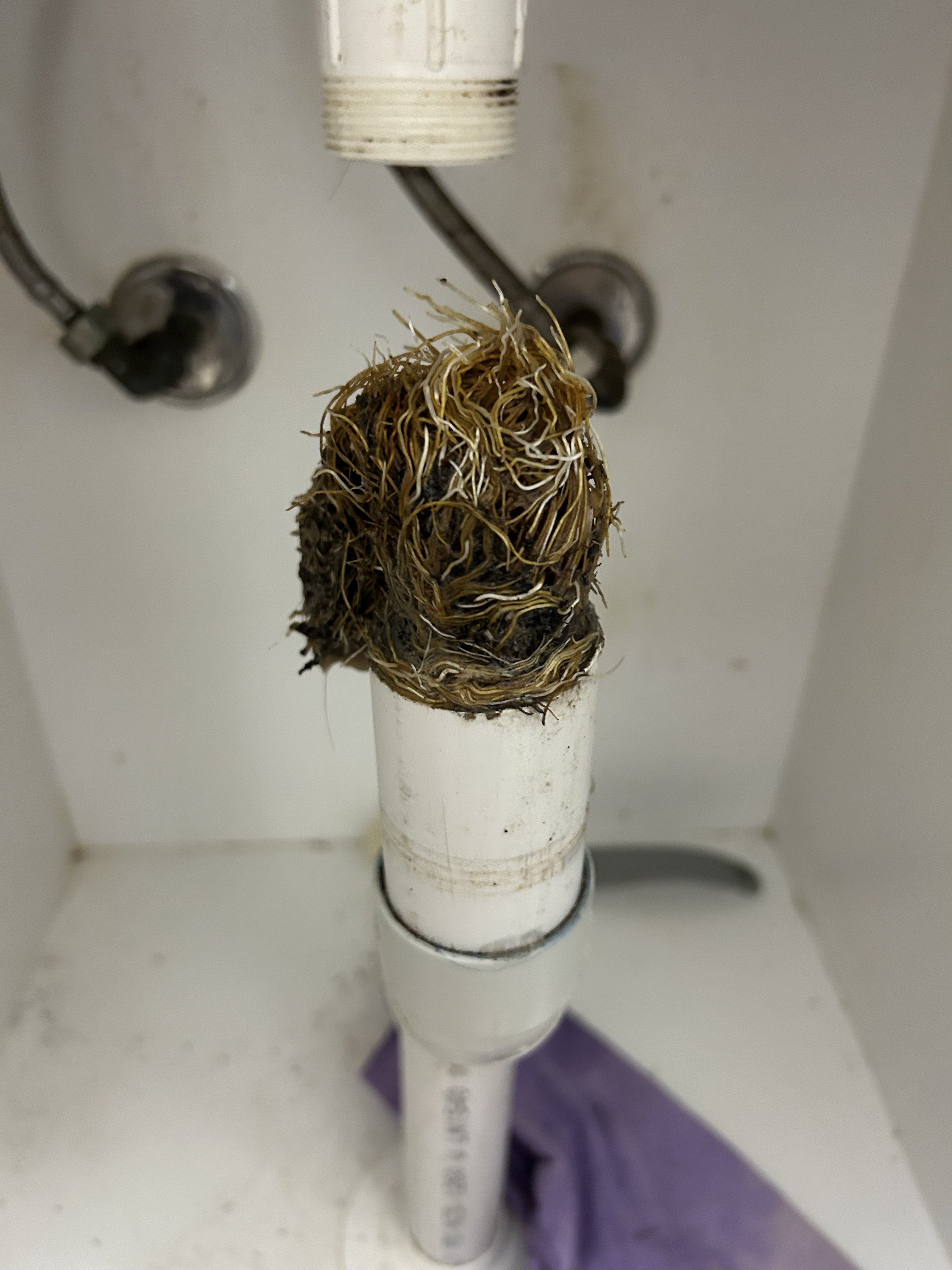 Clogged drain pipe with hair and debris buildup in a bathroom sink.