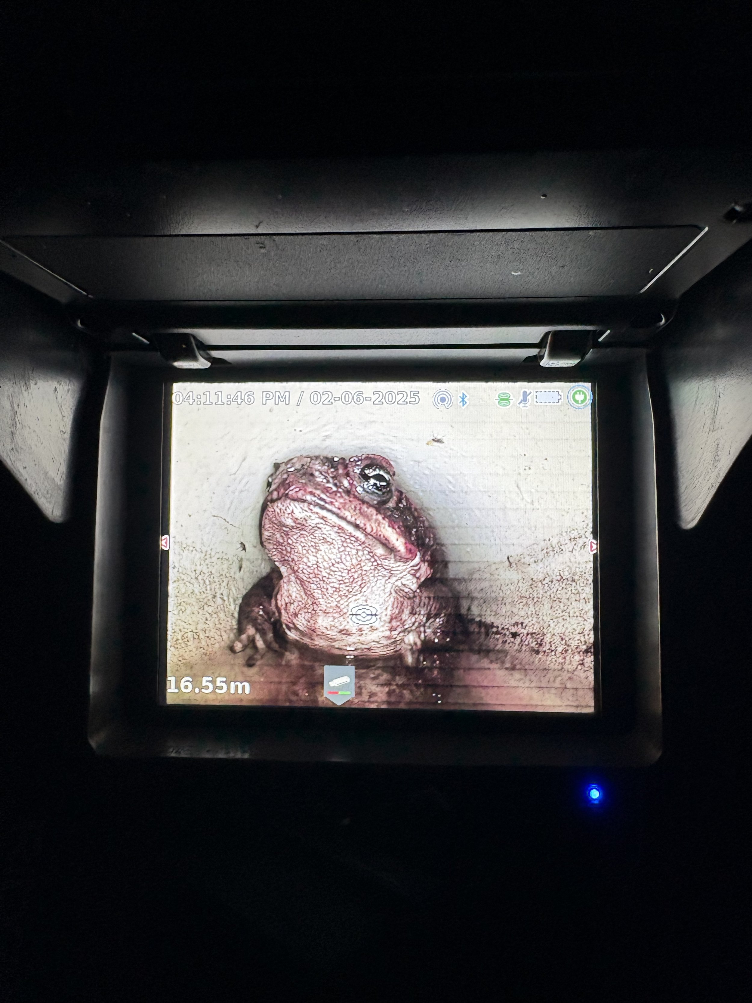 Close-up of a CCTV drain inspection camera showing a frog inside a pipe.