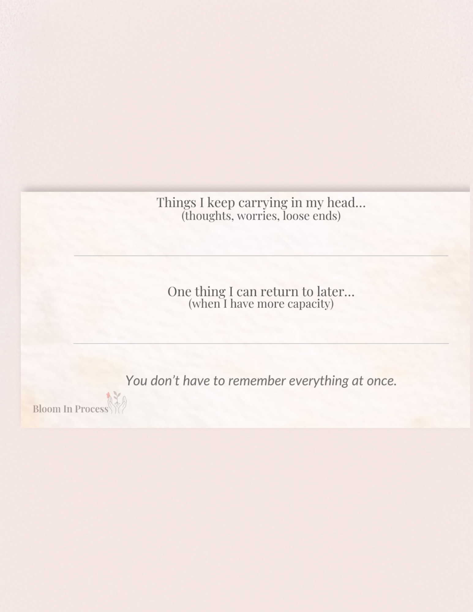 Everyday Life Capture_Preview Image 3.png