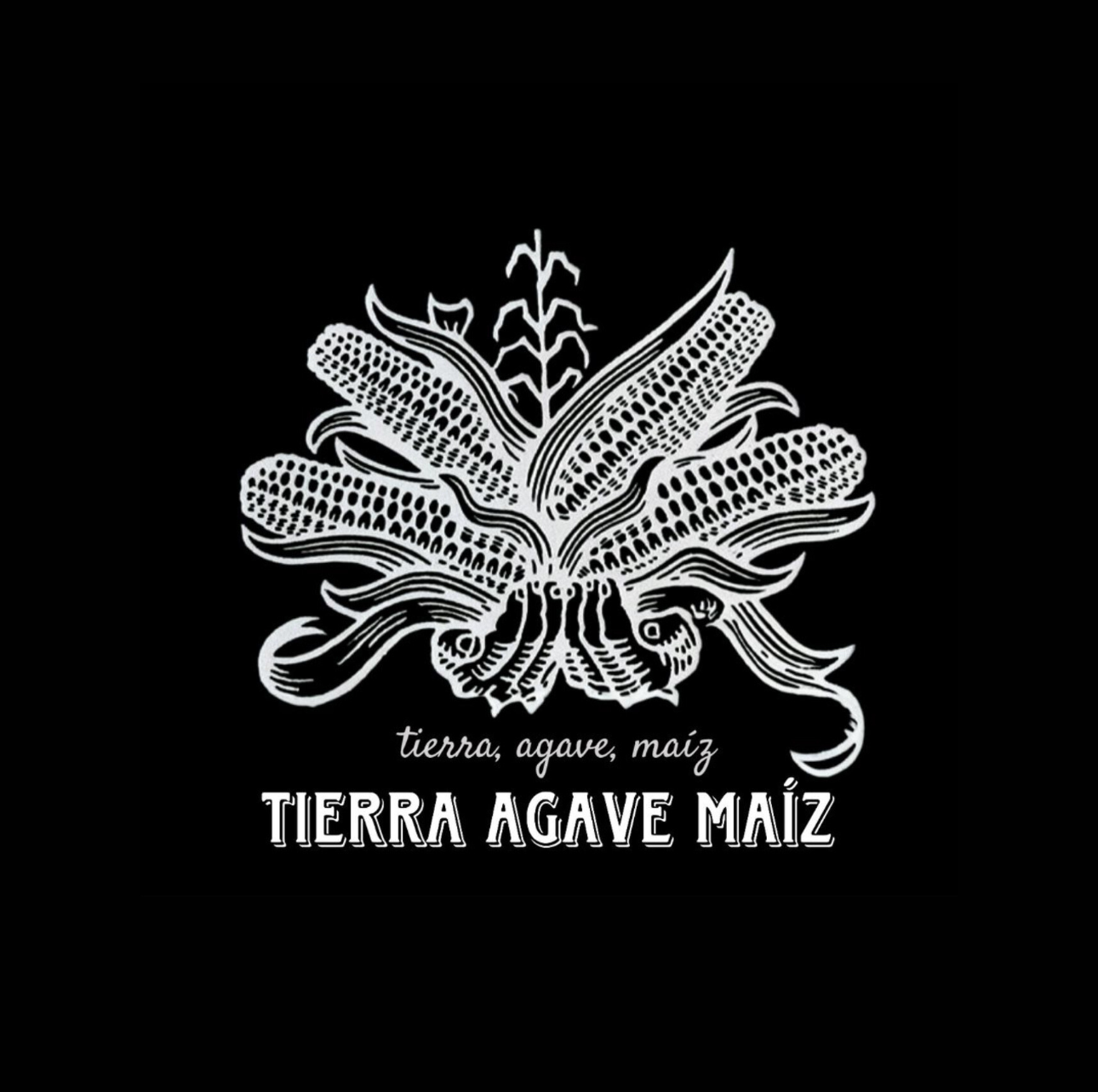 Tierra, Agave y Maíz  