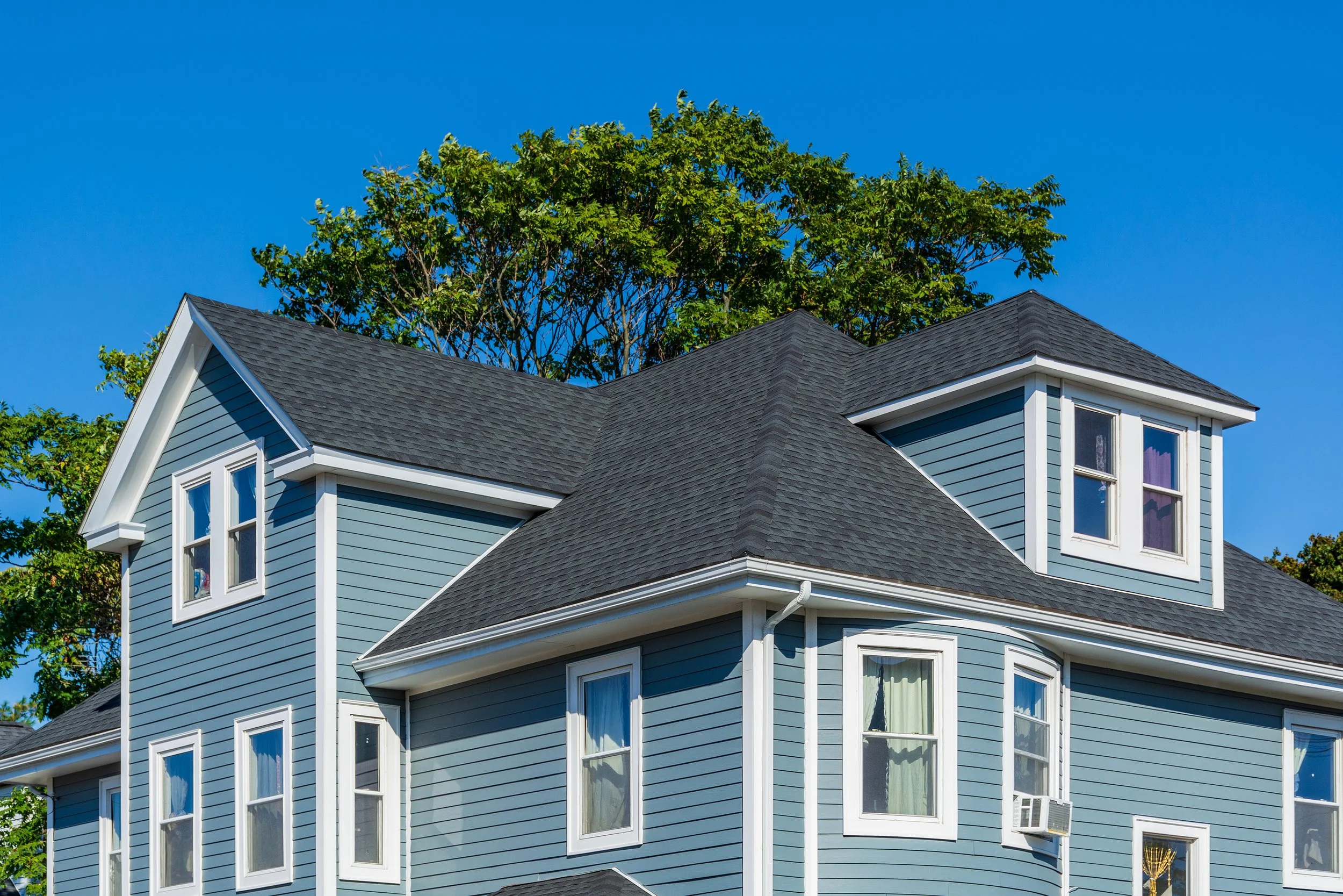A blue house with white trim and multiple white-framed windows, a dark gray shingle roof, and a tree with green leaves in the background against a clear blue sky.