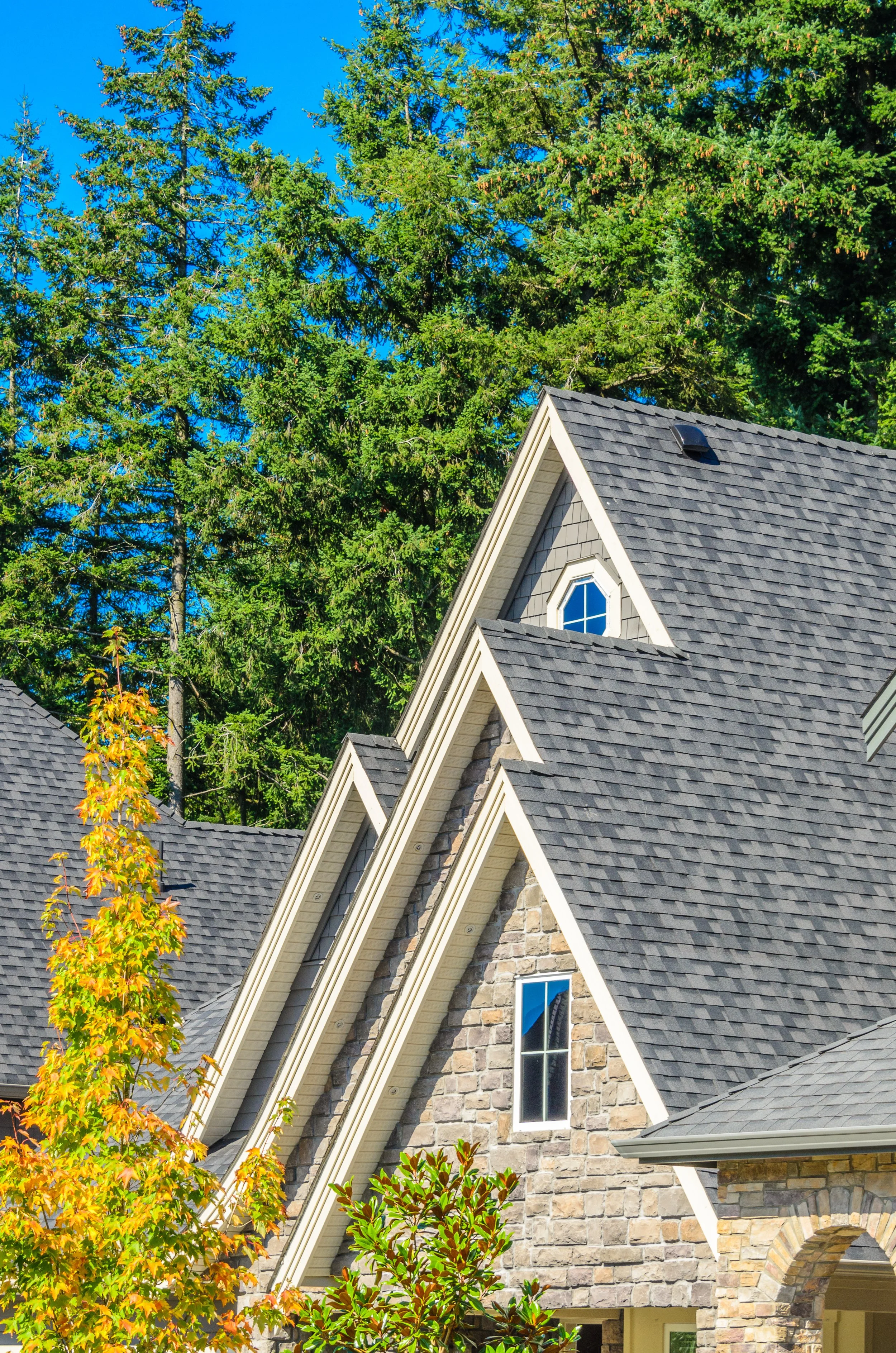 Close-up of a stone house with gray shingles on the roof, white trim, small windows, surrounded by trees with green and yellow leaves, under a clear blue sky.