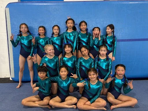 Gymnastics 1.jpg