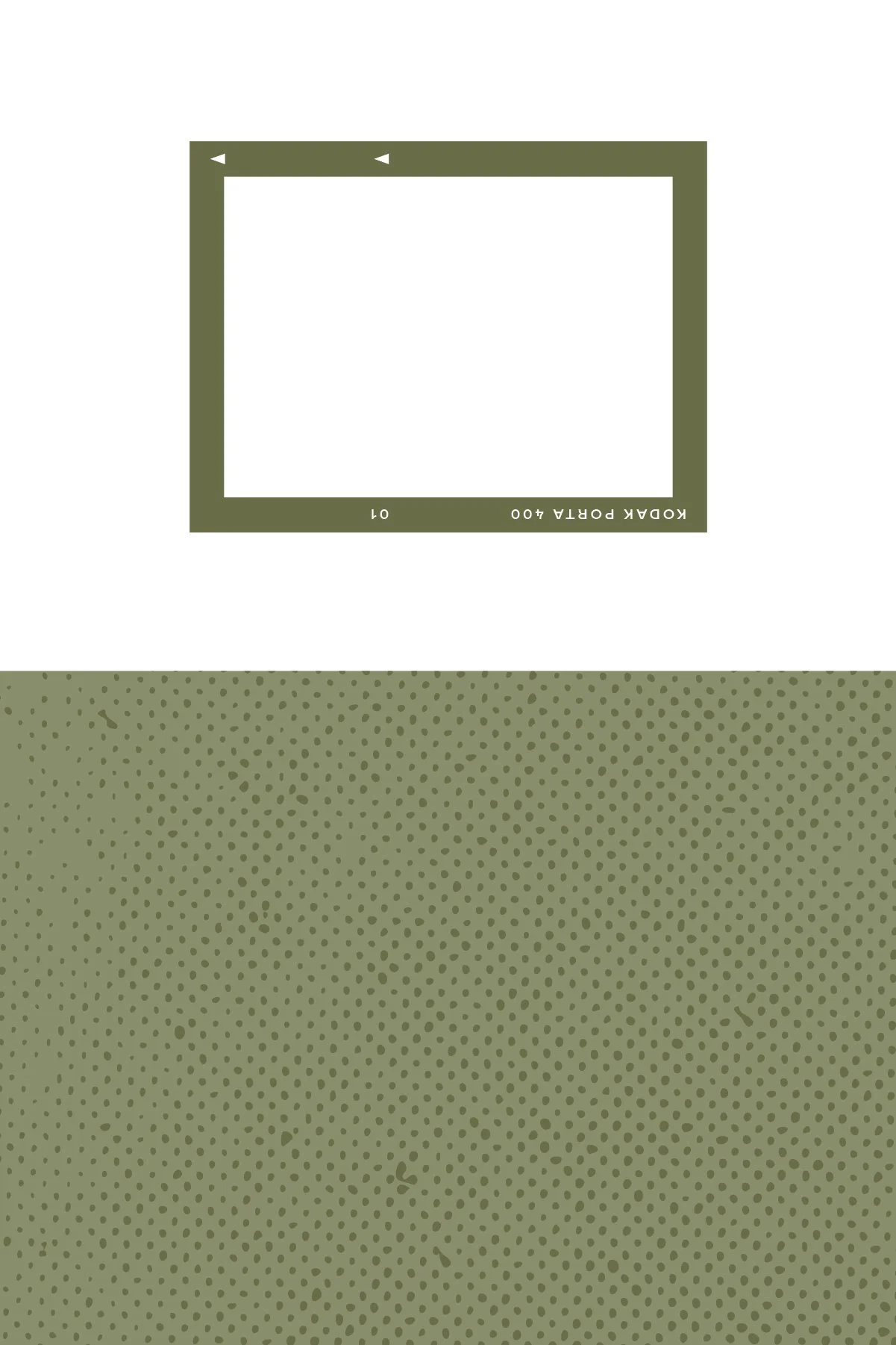 PHOTOGRAPHS+FEELINGSFINAL_Patterned Paper - 08.jpg