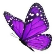 Angela Rose Cook  
April 13, 1988 -  
May 22, 2022