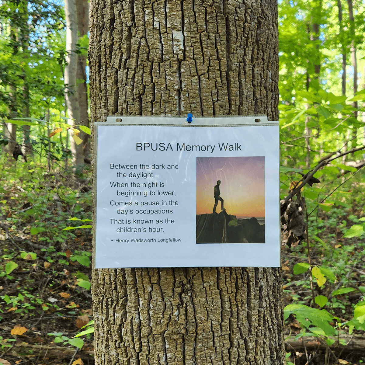 sign on a tree