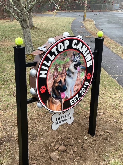 Sign for Hilltop Canine featuring two dogs, a German Shepherd and a Belgian Malinois, with the text "HILLTOP CANINE EST. 2019" and a phone number.