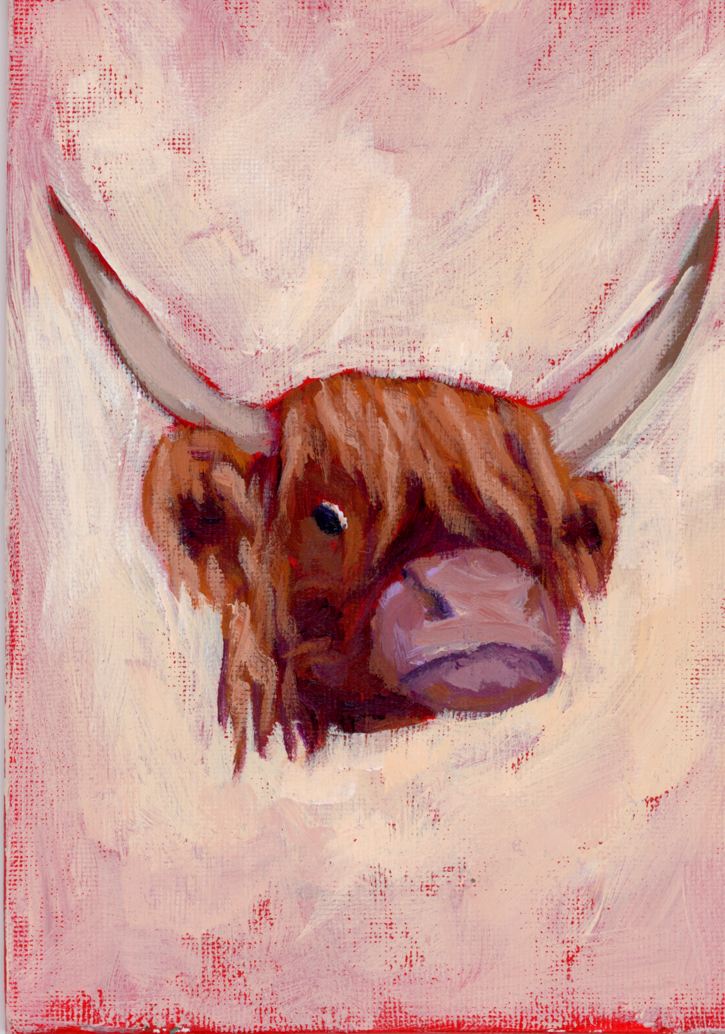 Highland Coo_2025.png