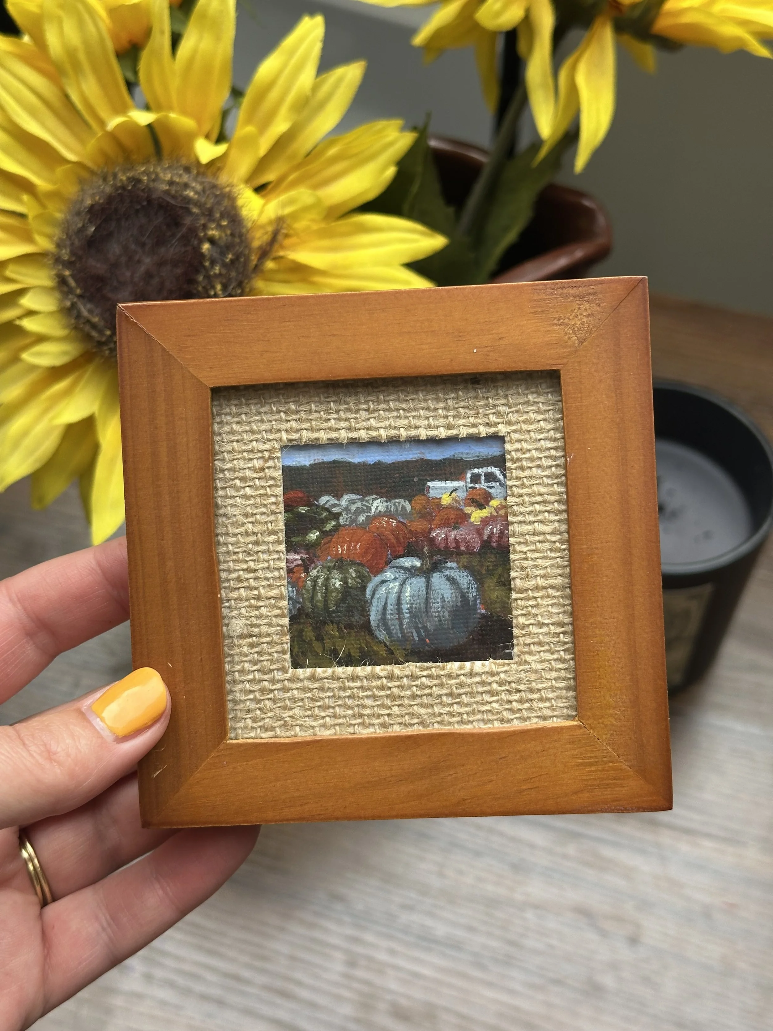 Pumpkin Patch Mini