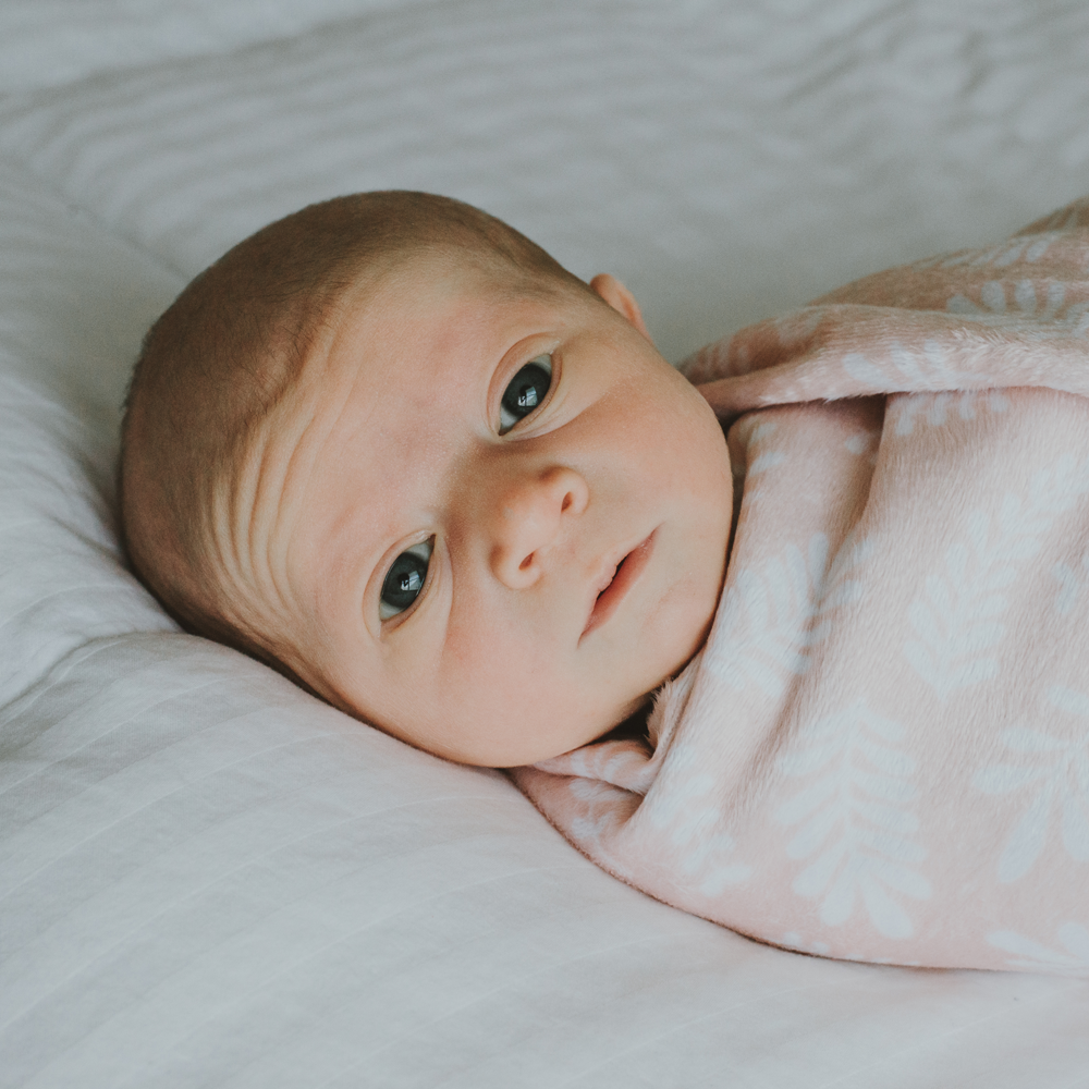 A close-up of a newborn baby lying on a white surface, wrapped in a pink blanket with white patterns, looking directly at the camera.