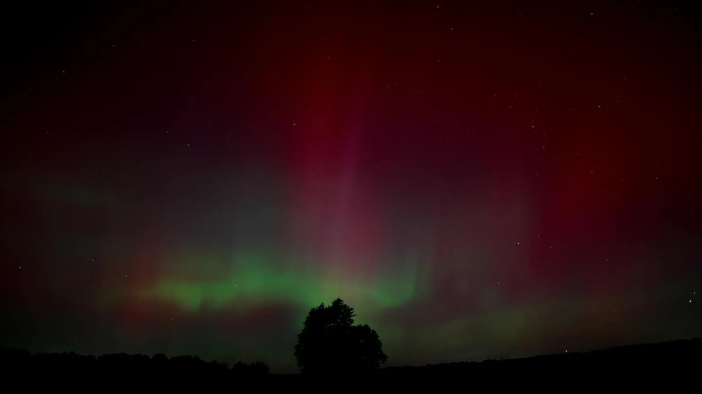 So thankful to have experienced the Aurora from home!

1-3 Tree at Haenle Sanctuary in Grass Lake, MI resembling The Mitten with the UP glowing above it! 2:22am

4 &amp; 5 Views from the vineyard at Sandhill Crane Vineyards, 2:07am @sandhillwine

6 L