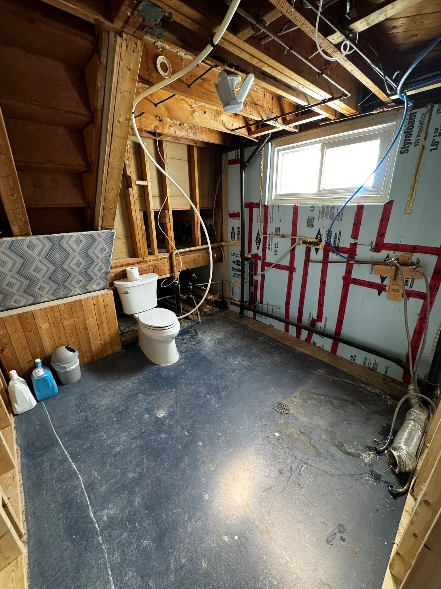 WhatsApp Image 2026-01-20 at 8.26.52 PM (5).jpeg