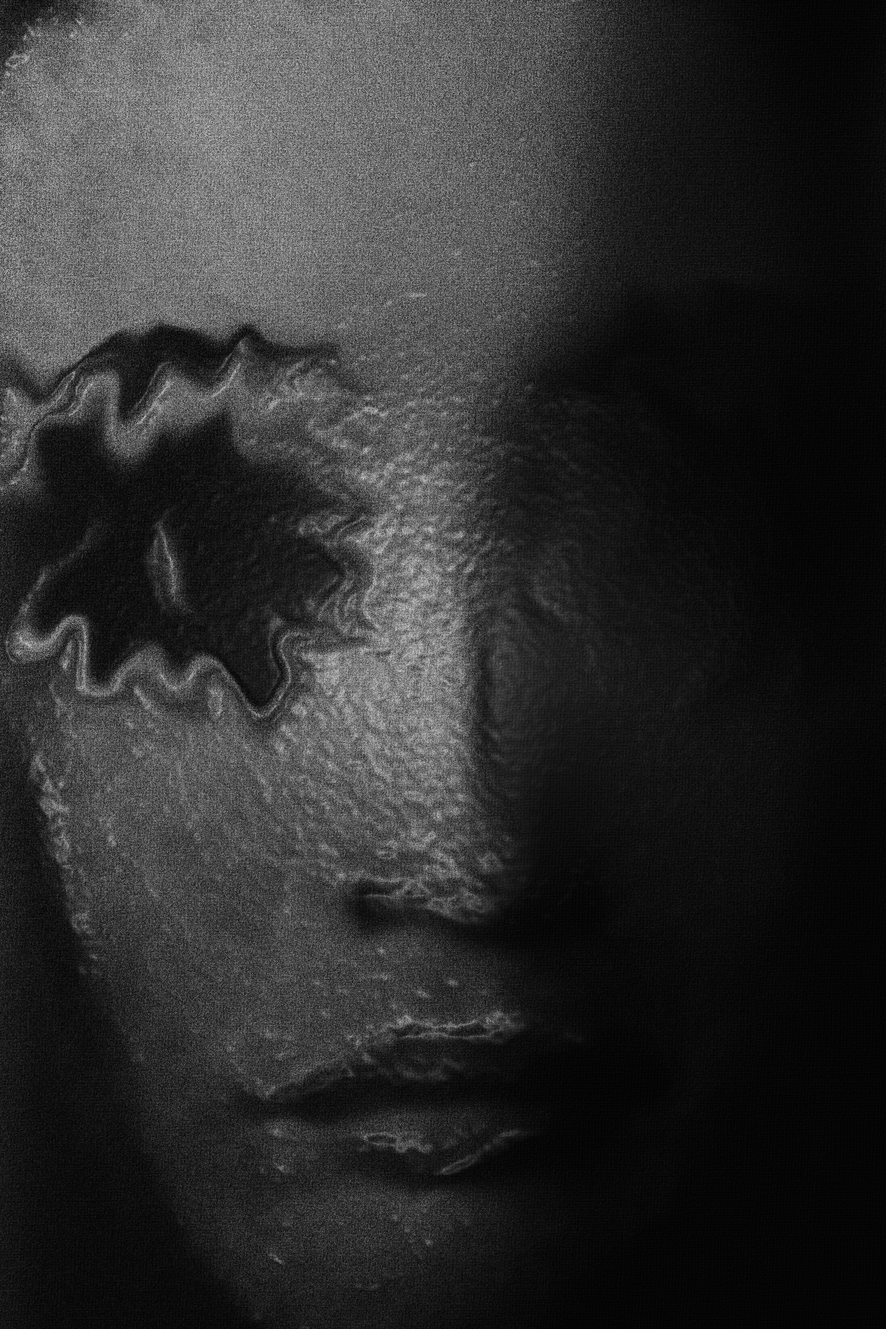 Close-up black and white photograph of a person's face with a spiraled item near their eye, emphasizing textures and shadows.