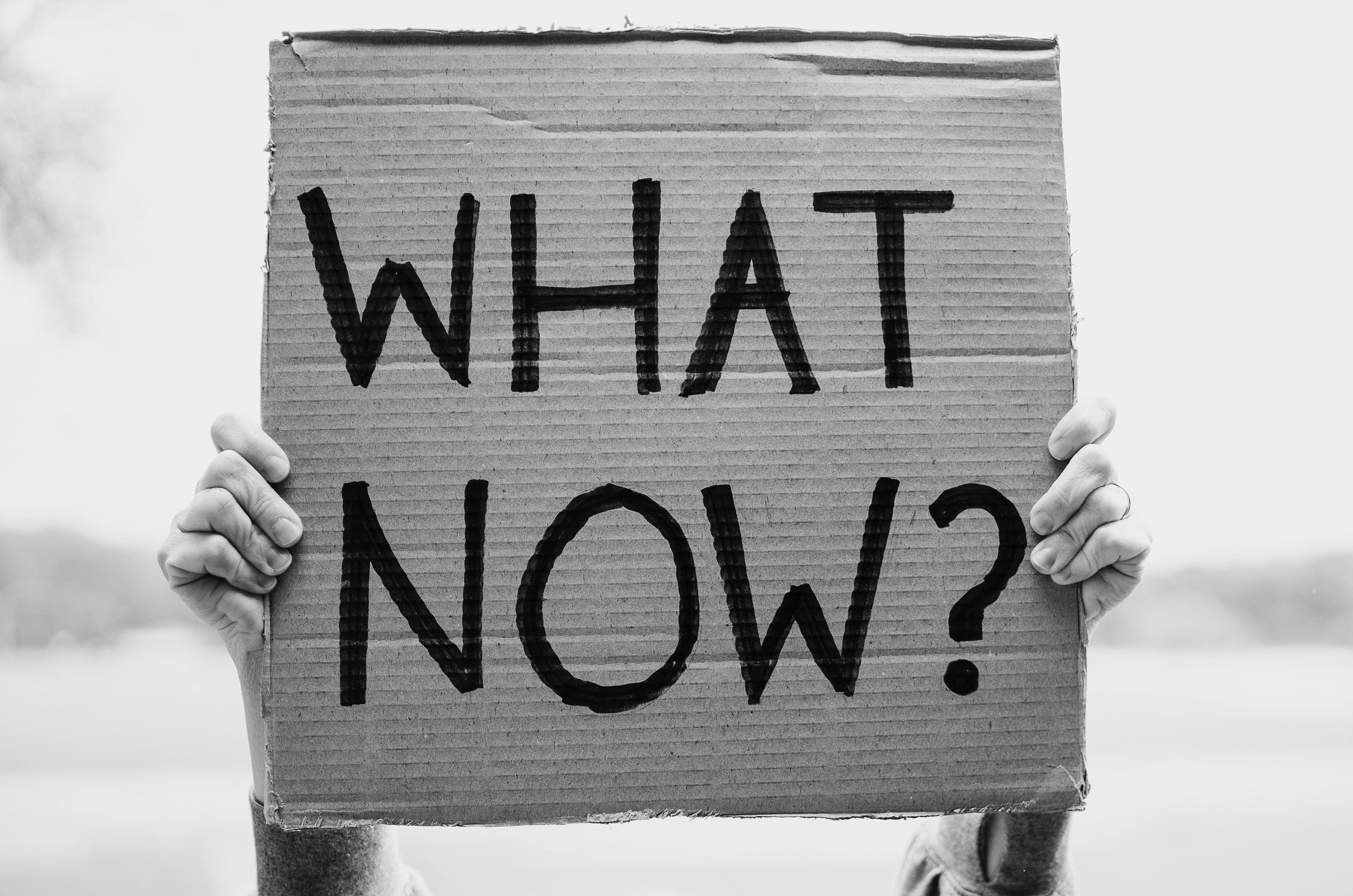 Person holding a cardboard sign with the handwritten words "WHAT NOW?" in black marker.
