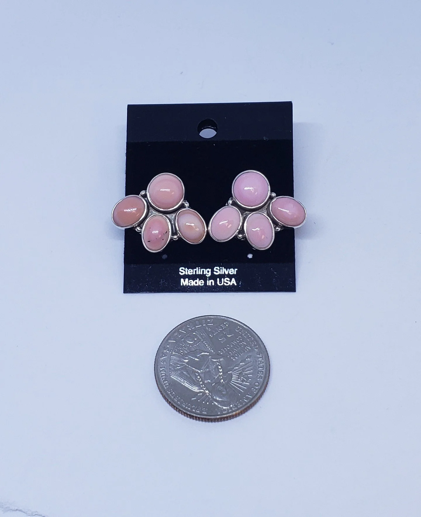 Conch Shell Earrings