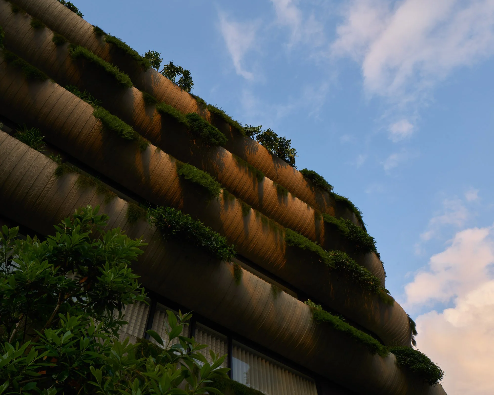 Concerete edge detail at Maison New Farm, designed by Joe Adsett Architects