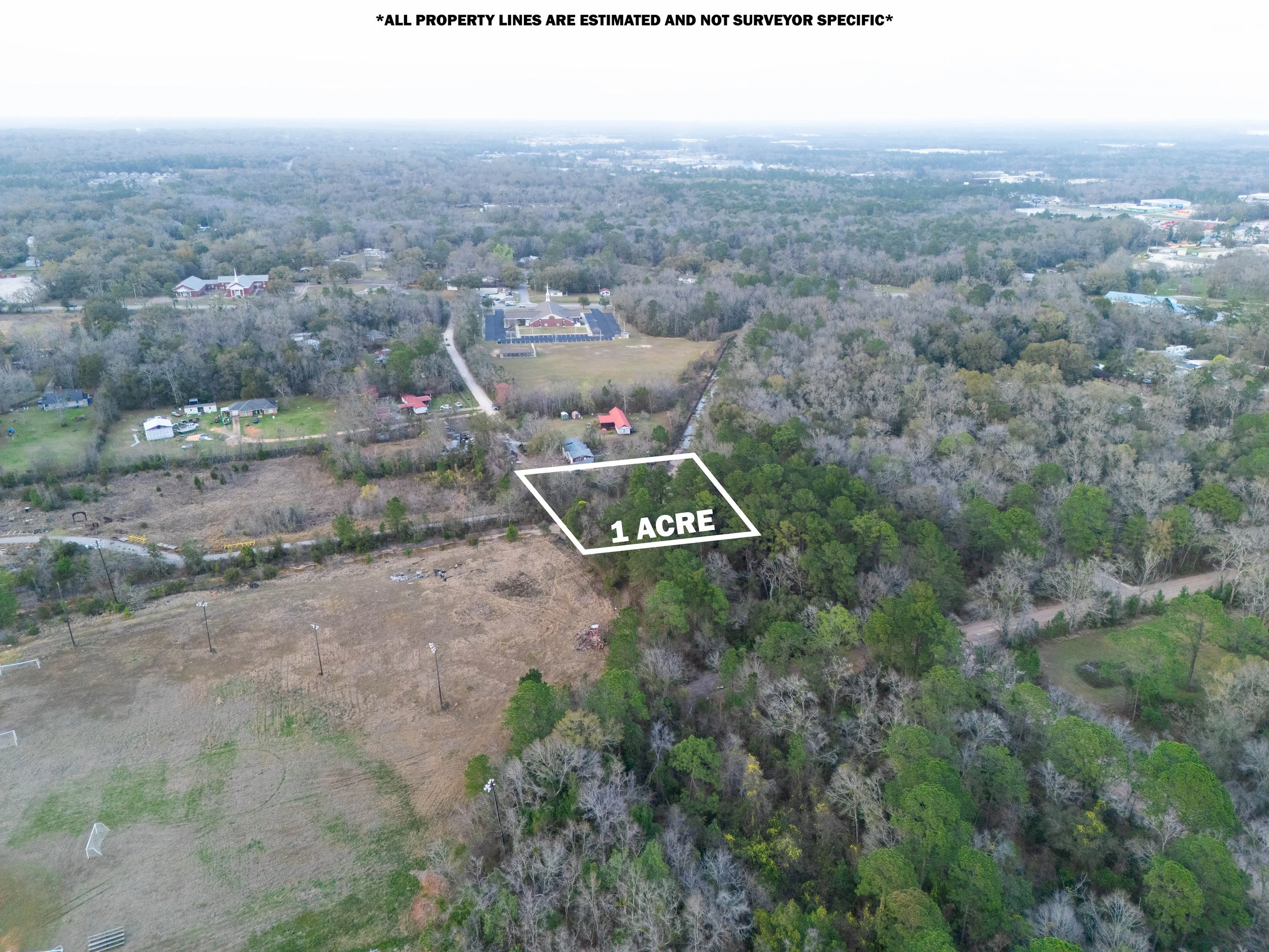 NAN GRAY DAVIS-4.jpg