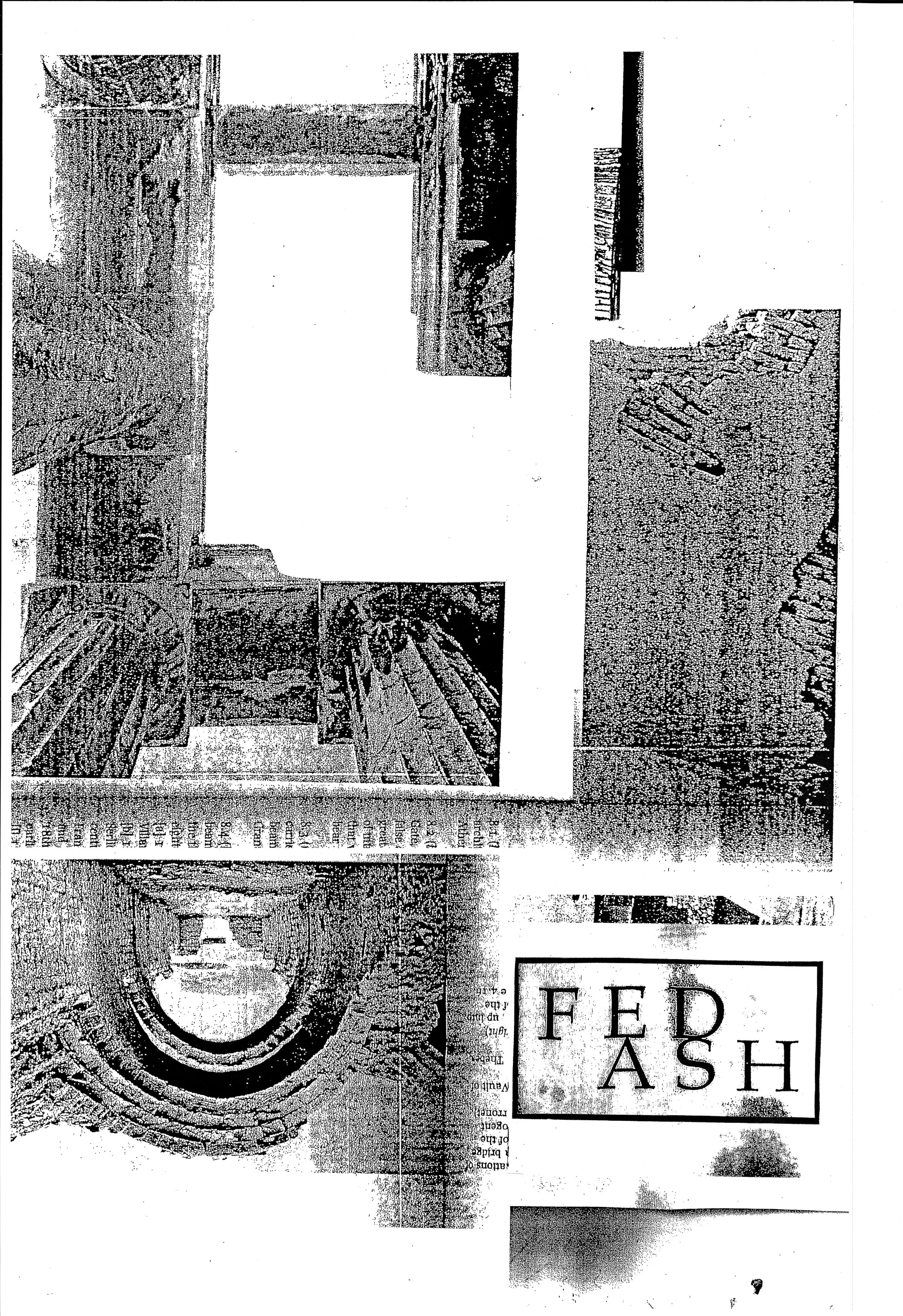Fed Ash lrg collage.jpg