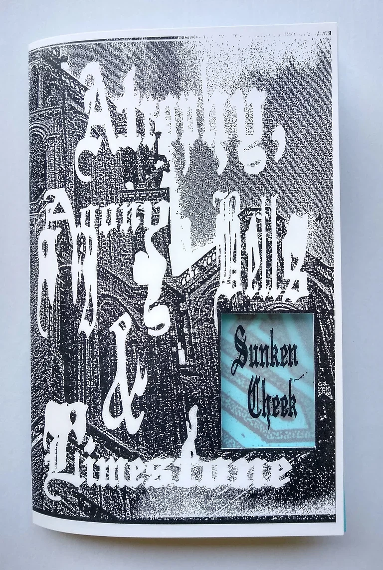zine+cover.webp