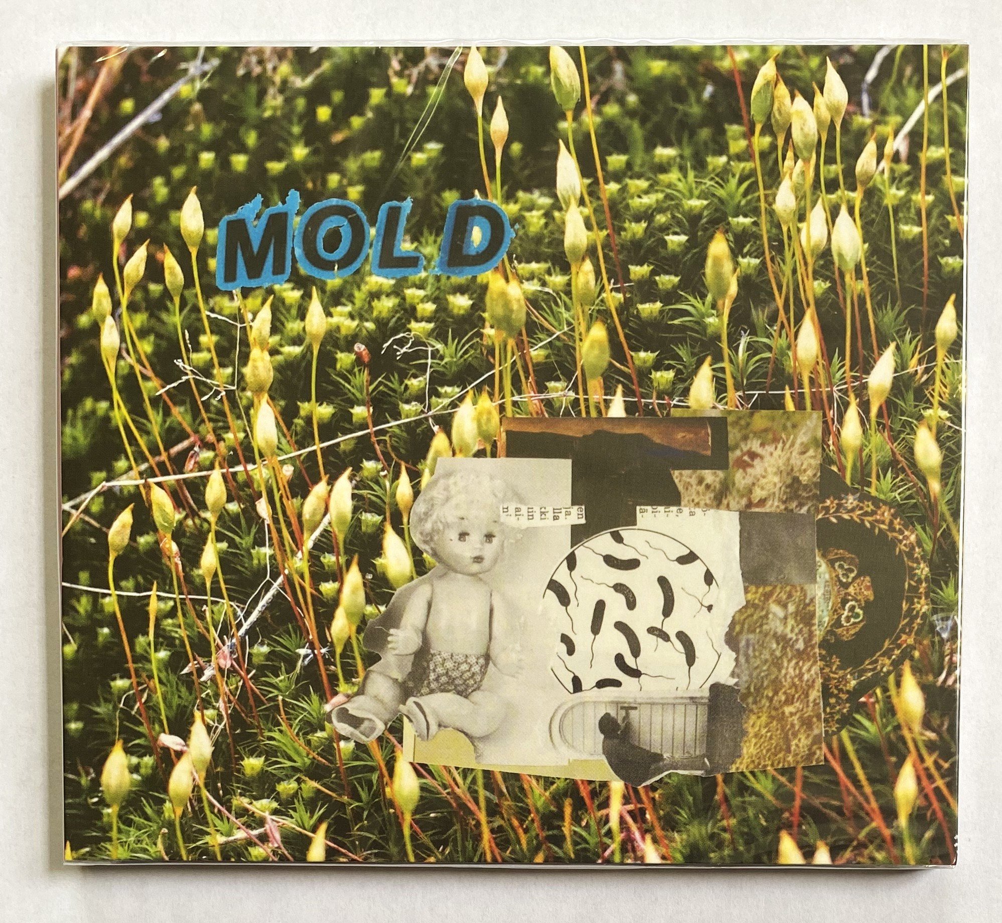 mold 1.jpeg
