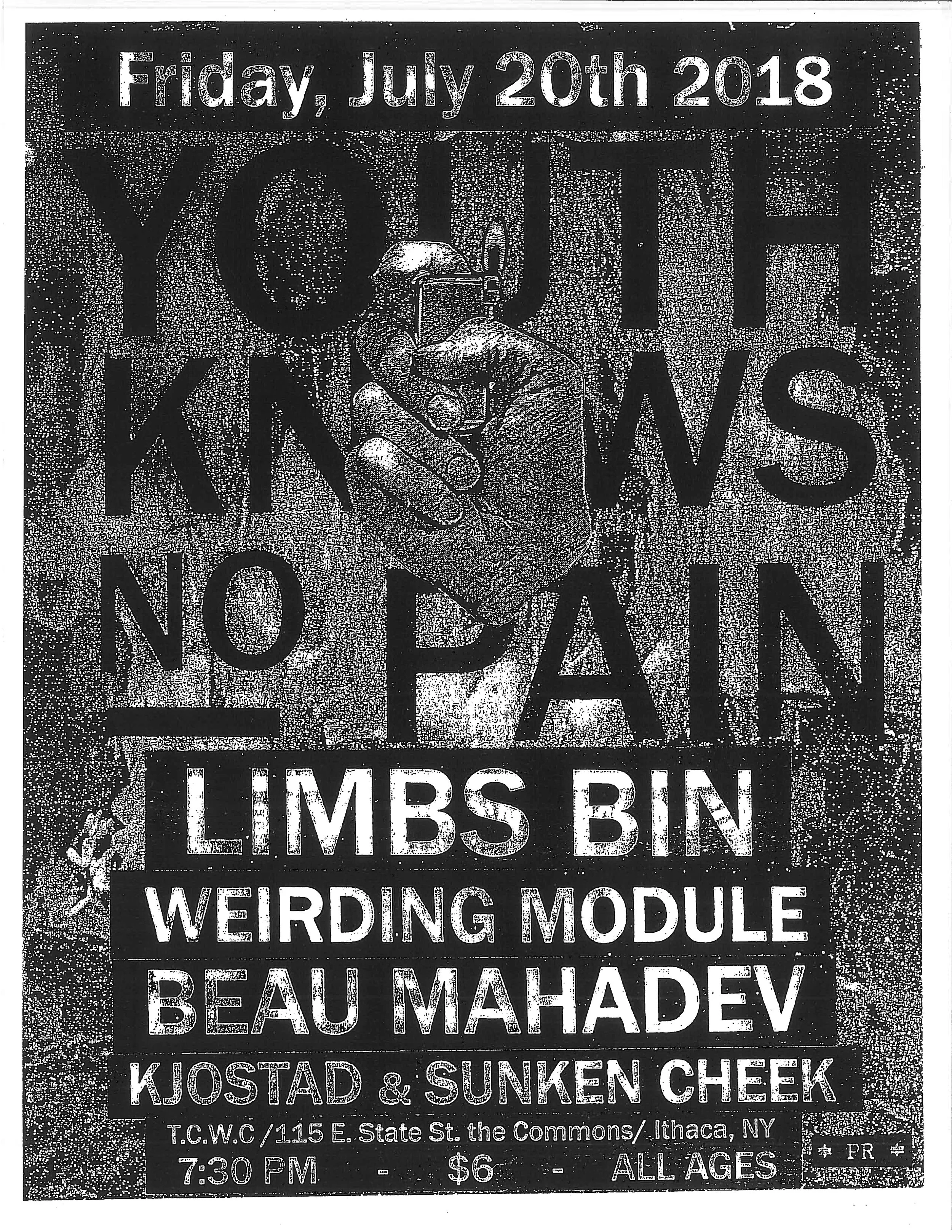 Limbs Bin 7-20-18.jpg