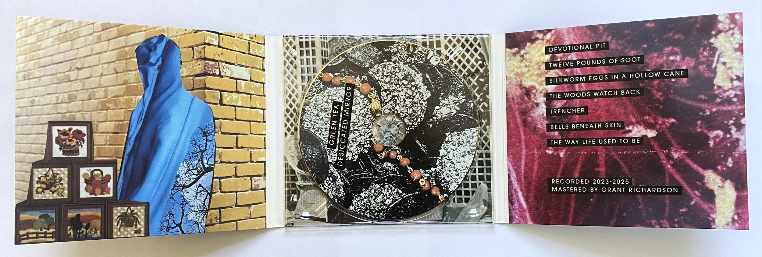 desiccated mirror inner.jpeg
