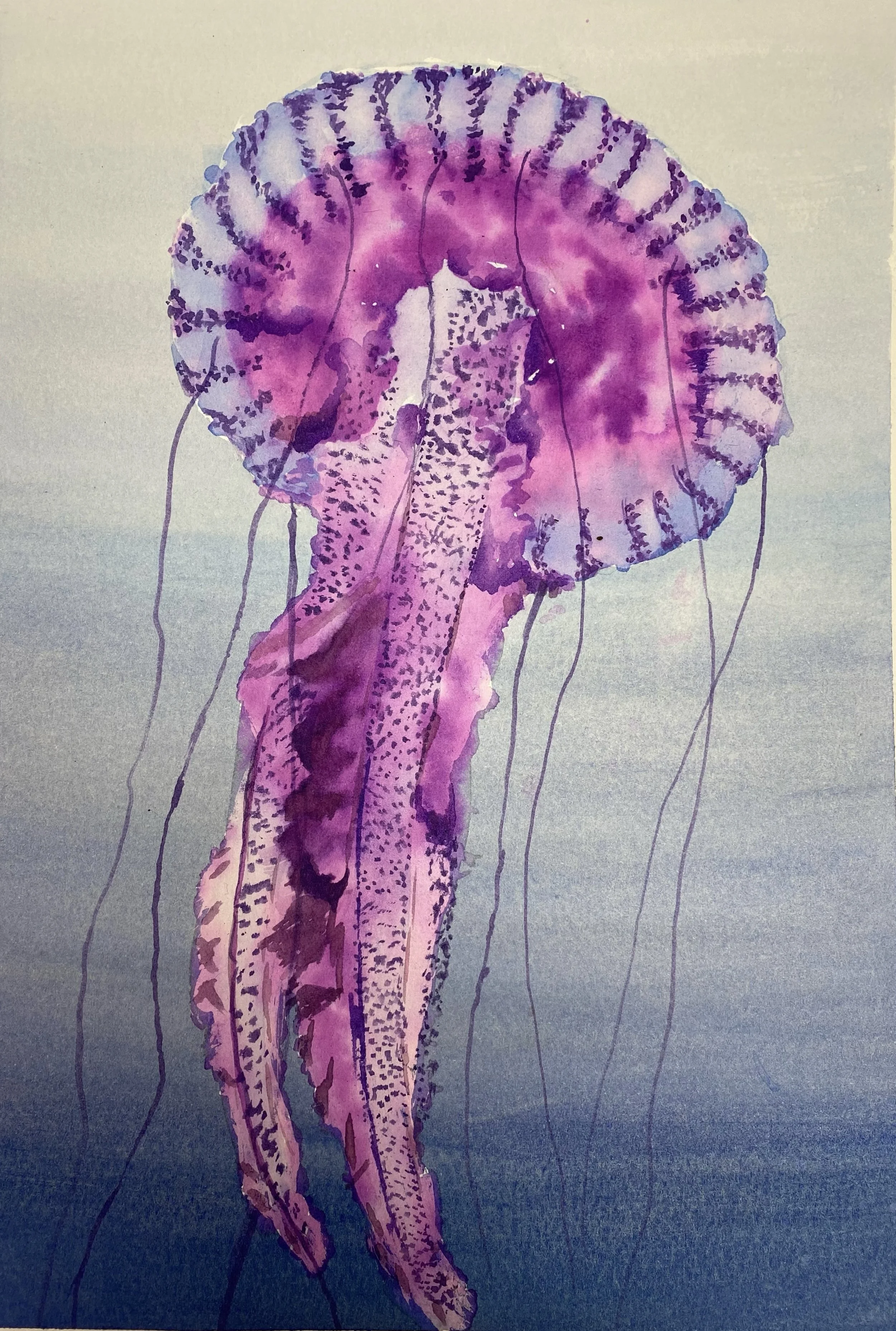 Watercolor painting of a purple jellyfish with long, trailing tentacles, set against a light background.