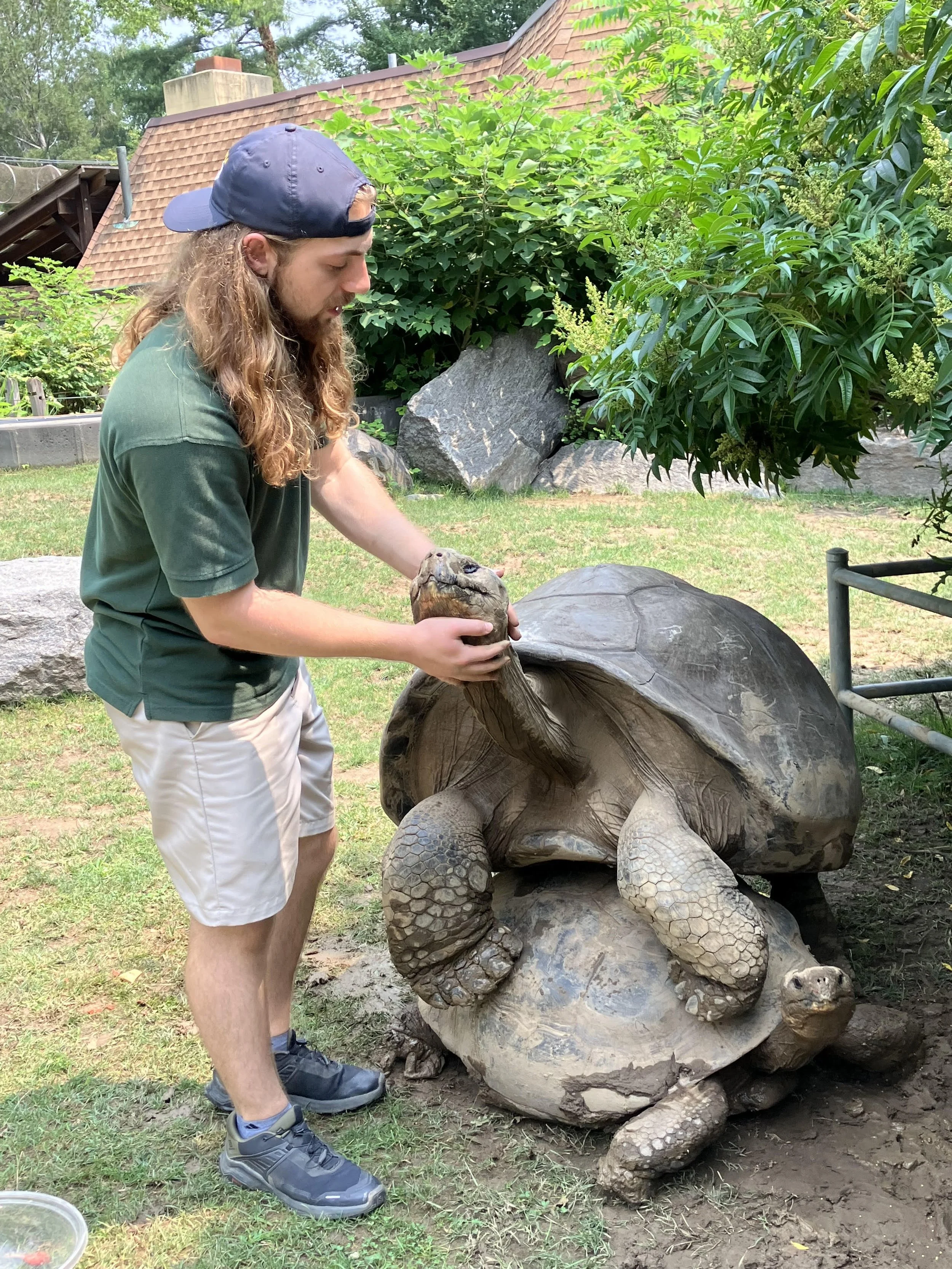 zookeeper working at uncle tonys reptiles