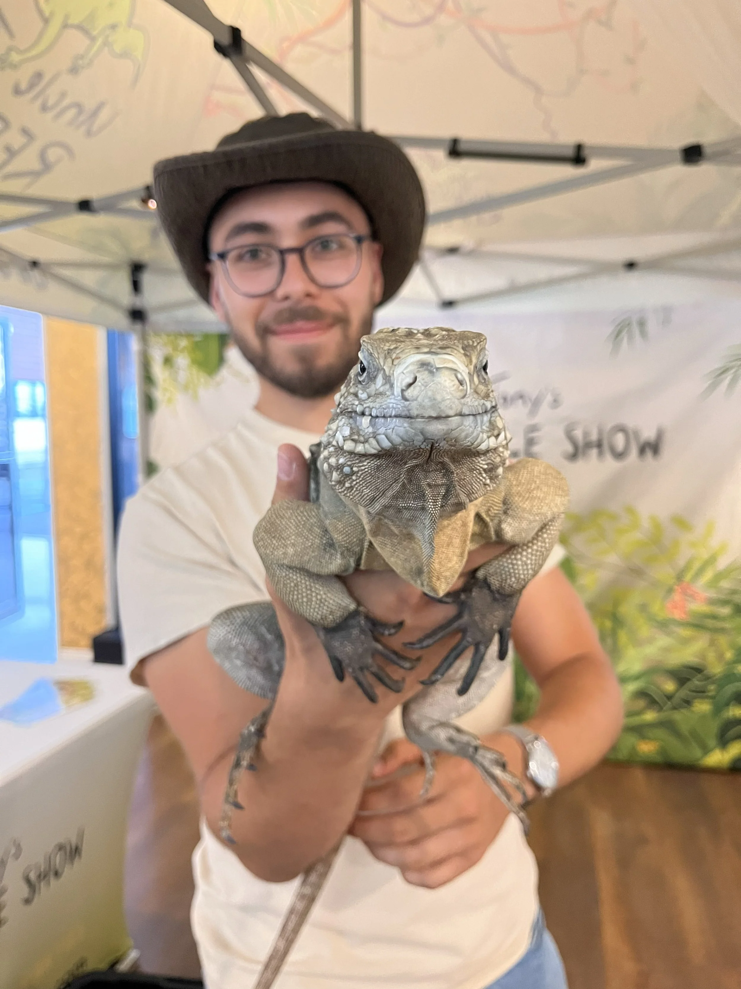 Reptile show with a rare iguana. part of the conservation project at uncle tonys reptiles