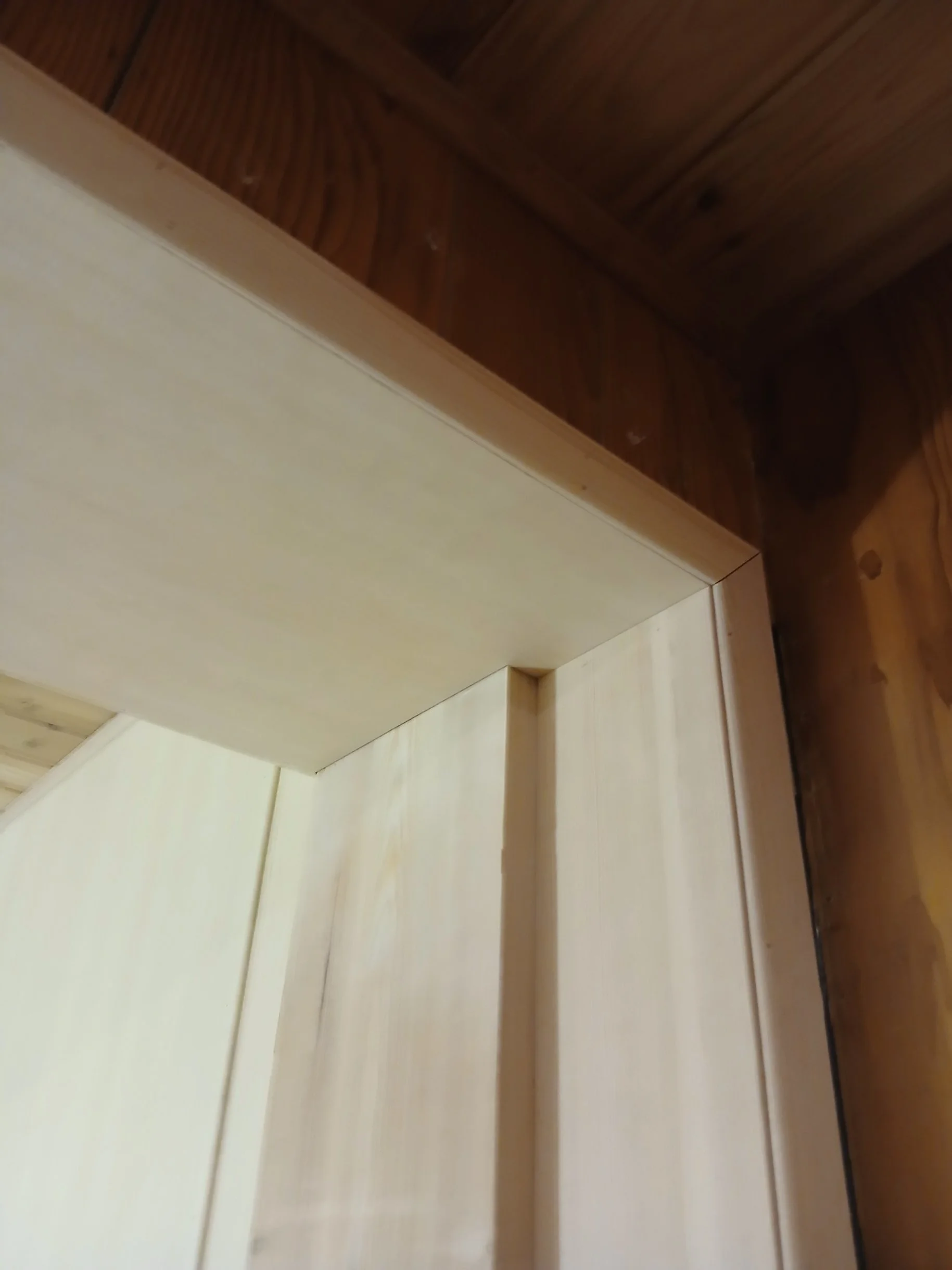 20260219_181743.jpg