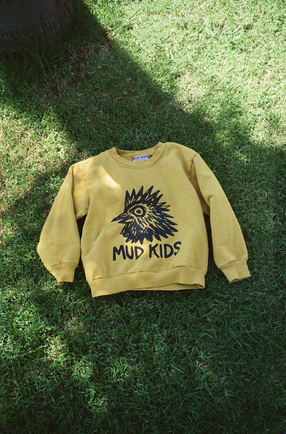 Screen Shot 2025-09-09 at 2.07.36 PM.png