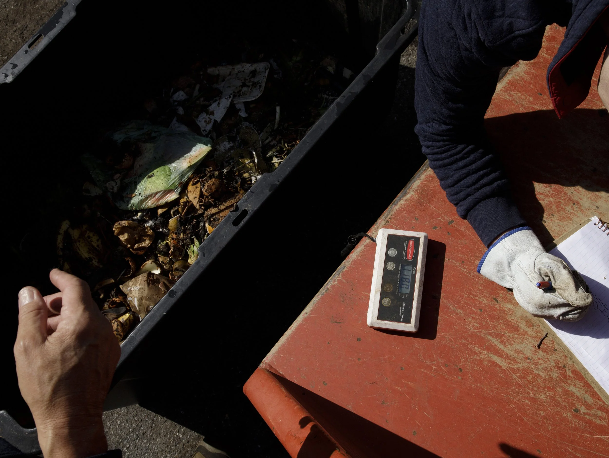 Once organic waste has been collected from throughout the park, David and a volunteer weigh each bin. This bin weighs in at just over 100 lbs.
