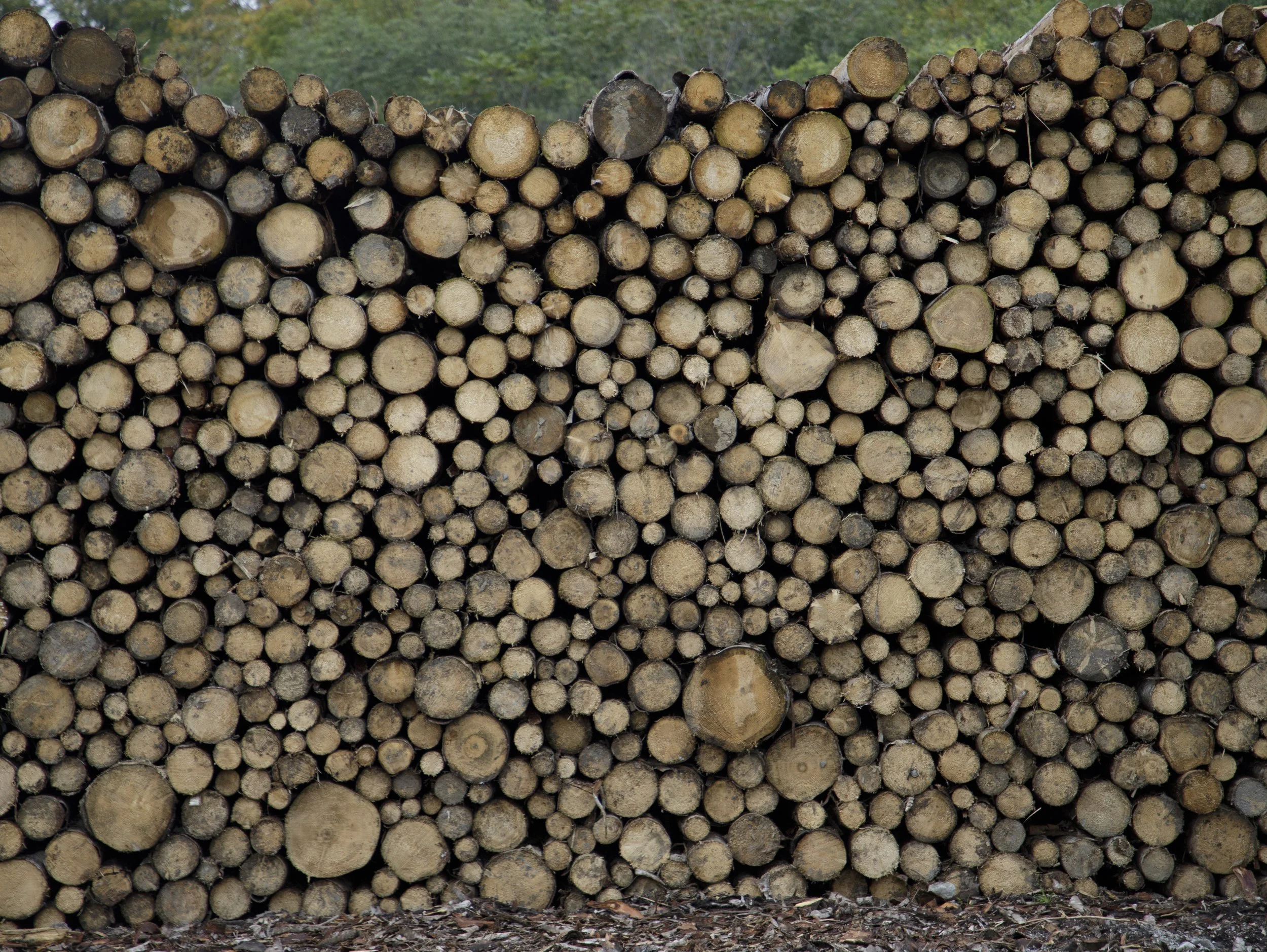 Stacked logs, Shimukappu, Hokkaido