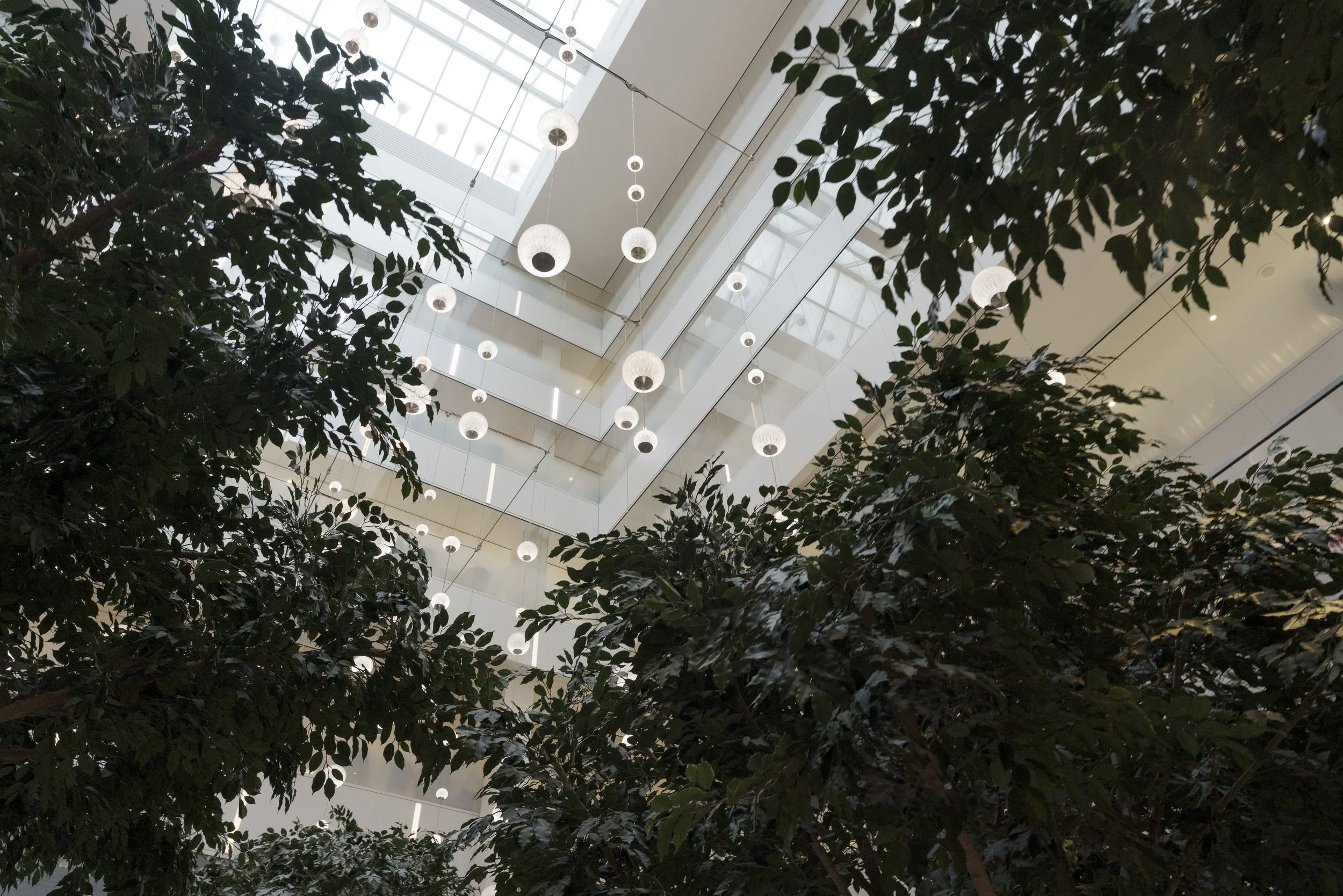 Fake trees create a canopy of shade in a Midtown food court.