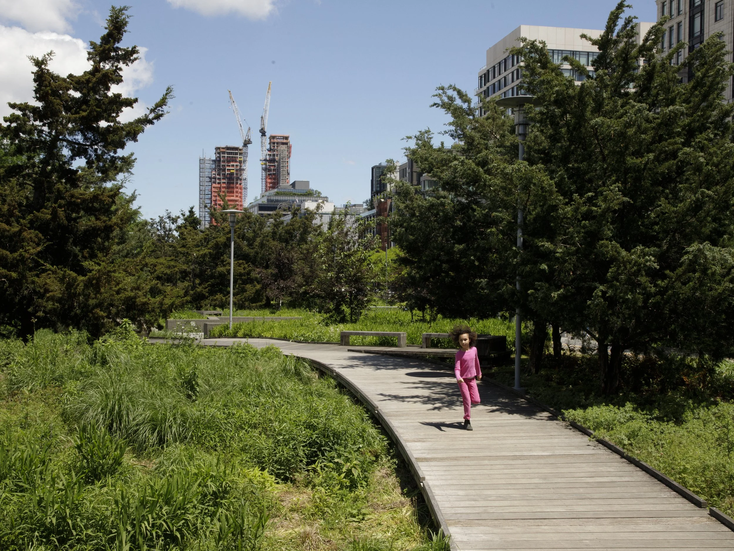 In the southern area of the park, the Tribeca Native Boardwalk is
home to indigenous Eastern red cedars surrounded by strands of native 'seaside' grasses.
