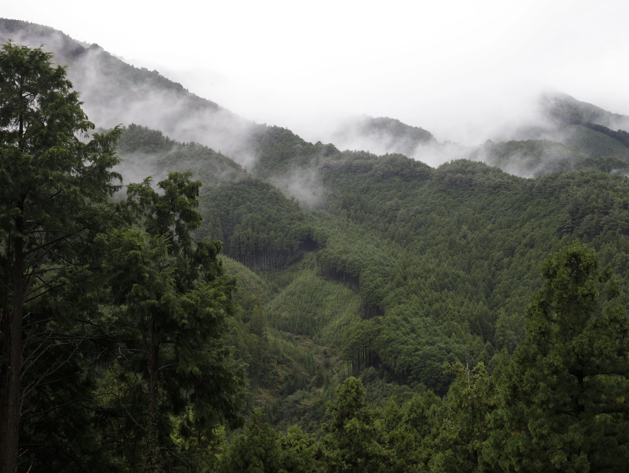 Nakahechichononaka, Tanabe, Wakayama