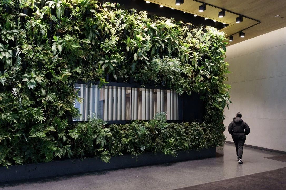 A plant wall in the Lower East Side.  Most American houseplants originate from tropical or subtropical climates and have adapted to indoor conditions.