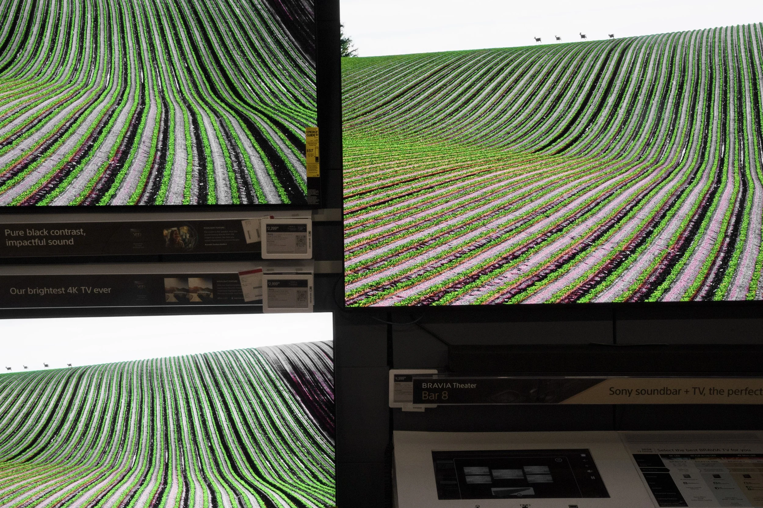TVs on display at the Union Square Best Buy. Today we are estimated to spend around 40% of our waking hours interacting with screens.