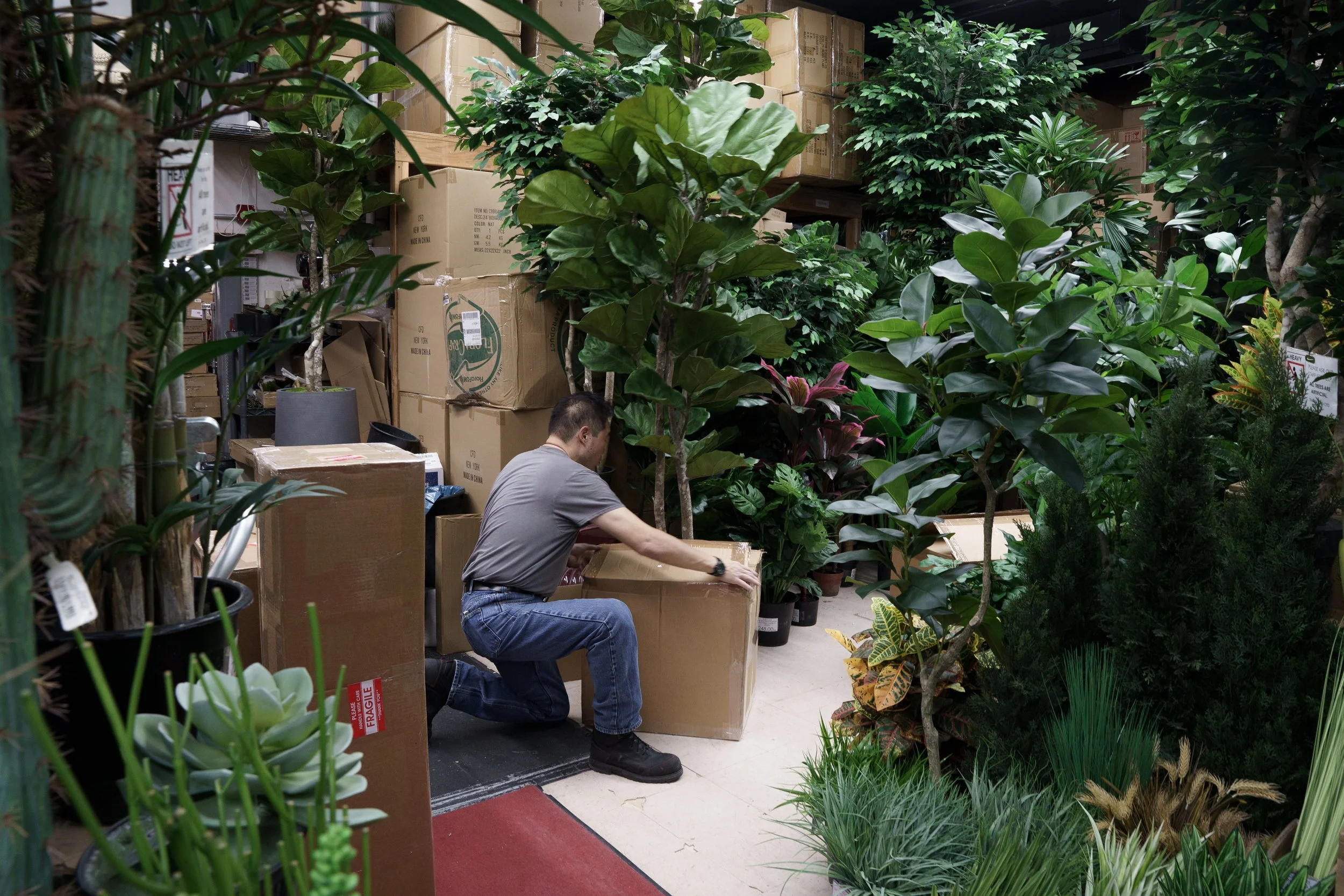 In The Flower District, Ting packages trees for transport within a store that sells exclusively artificial plants. This specific tree takes about five days to create and is sold for around $3000.
