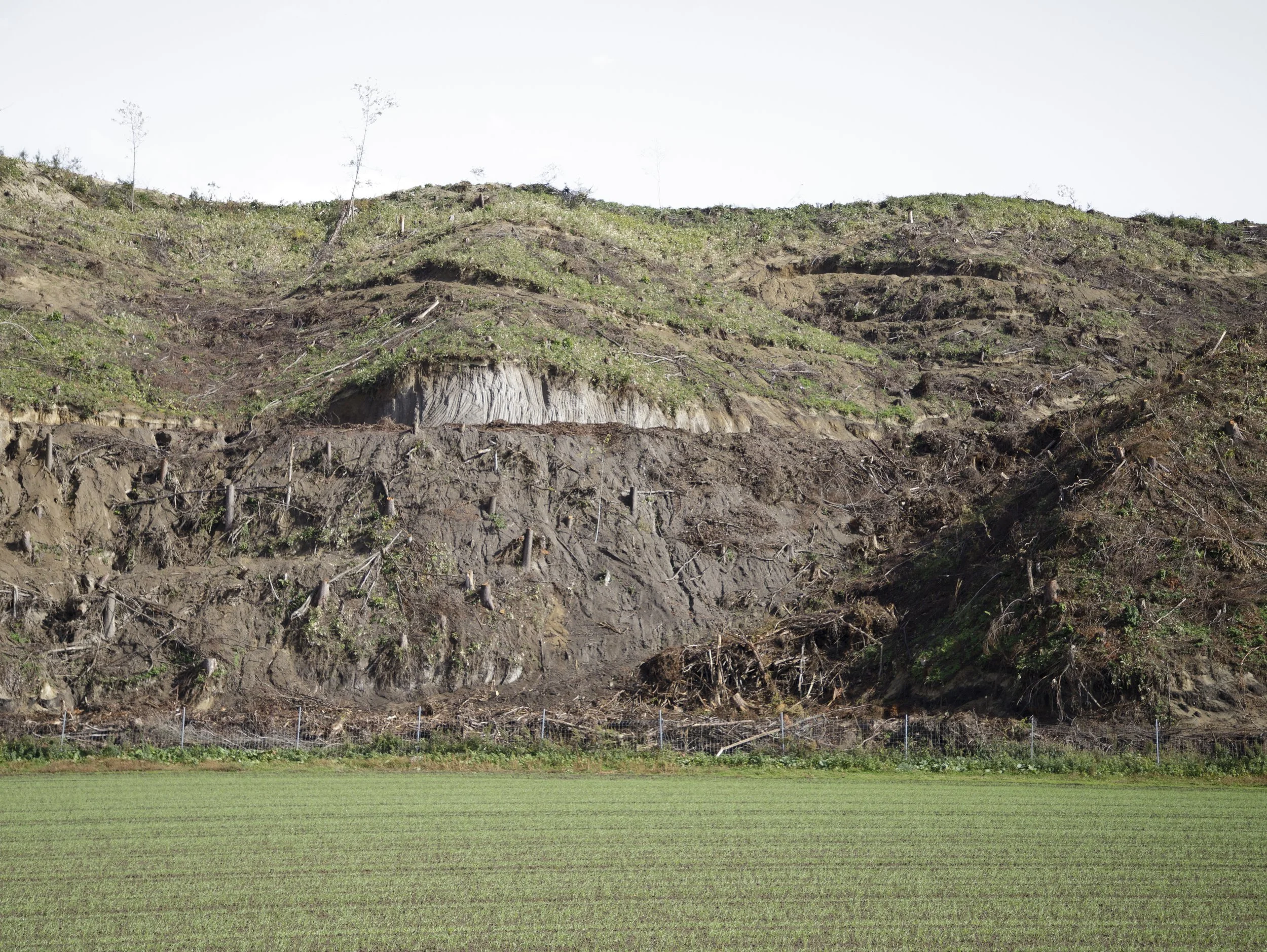 Clearcut, Kawamukai, Kiyosato, Shari-Gun, Hokkaido