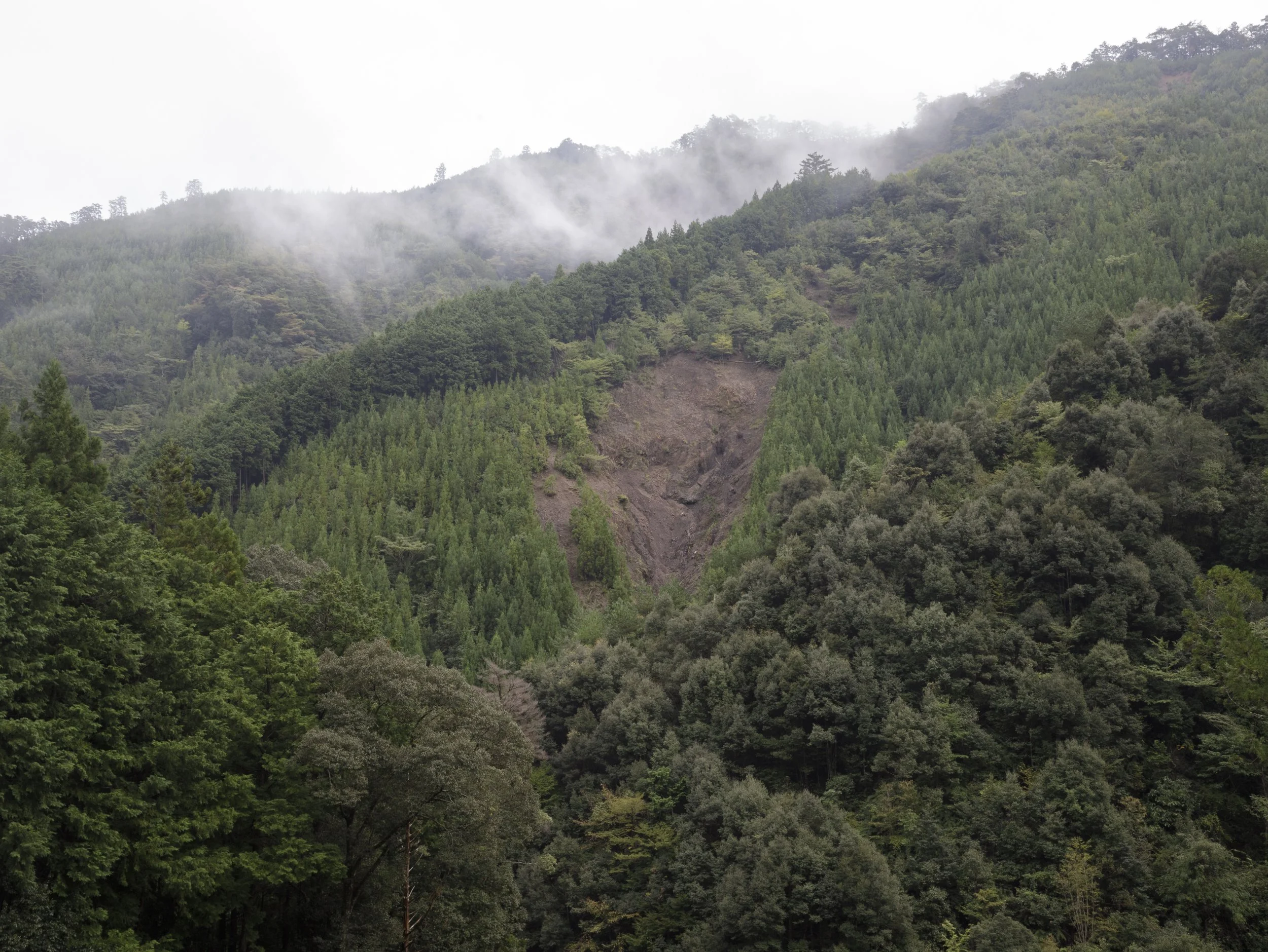 Landslide, Nakahechichononaka, Tanabe, Wakayama