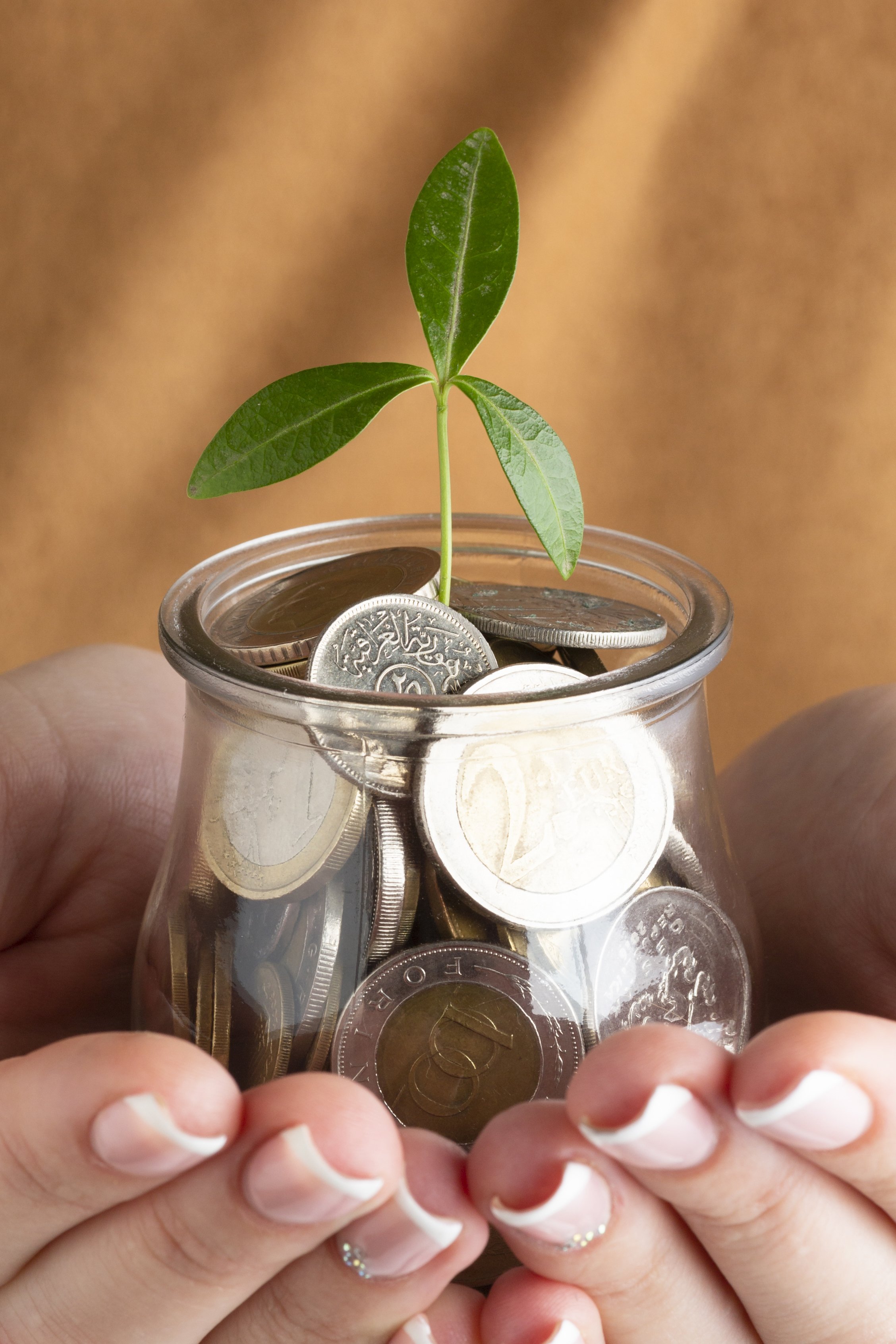 A small green plant sprouting from a jar filled with coins.