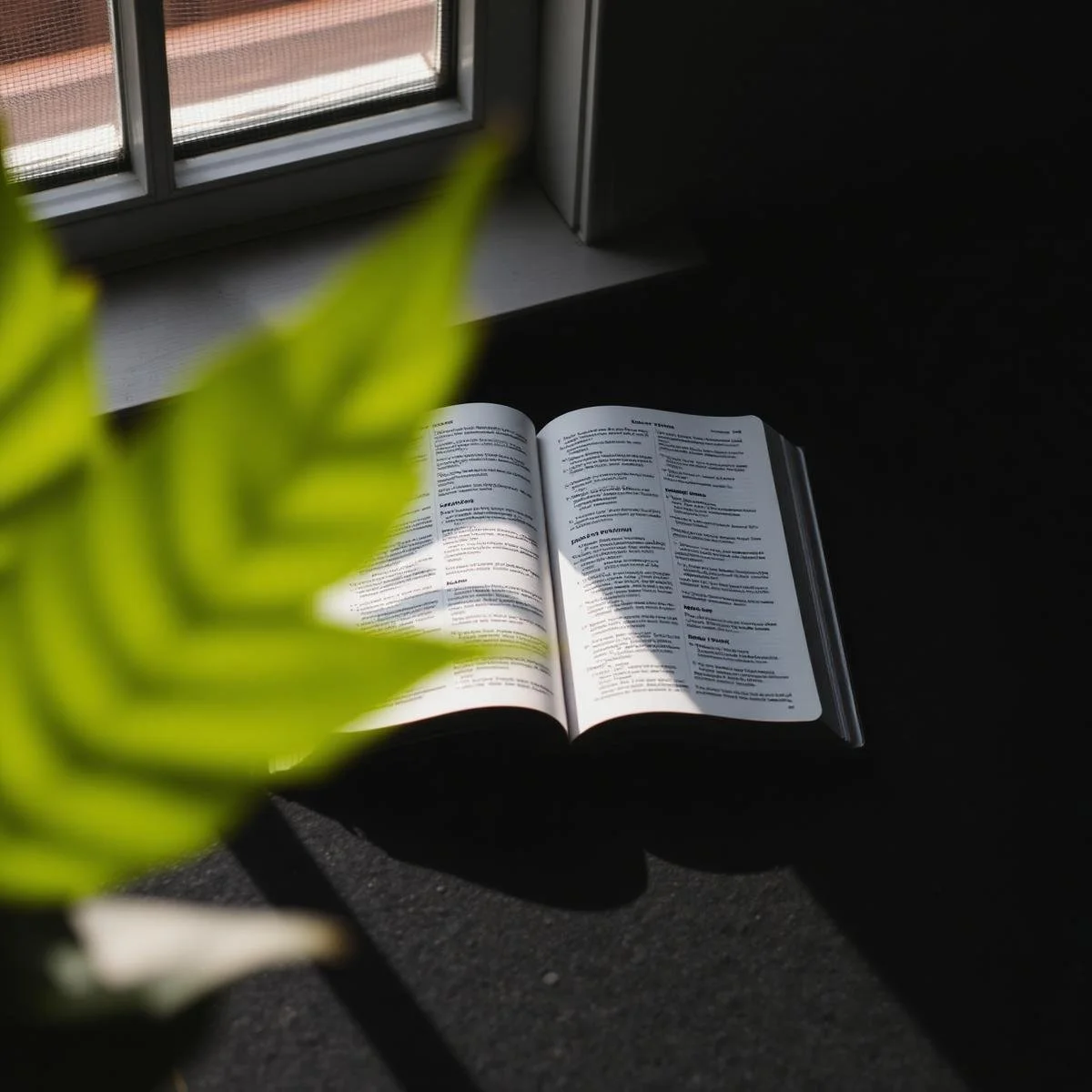 Open book placed on dark surface near a window, with sunlight casting shadow on pages, and a green plant partially obscuring view.