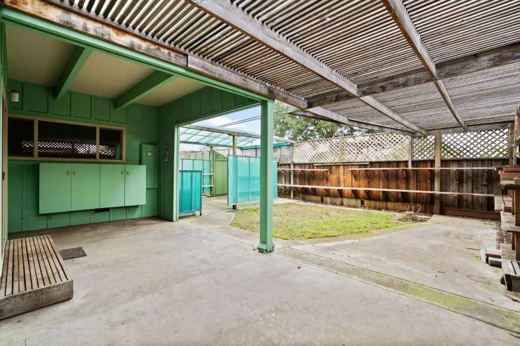 Backyard: BEFORE