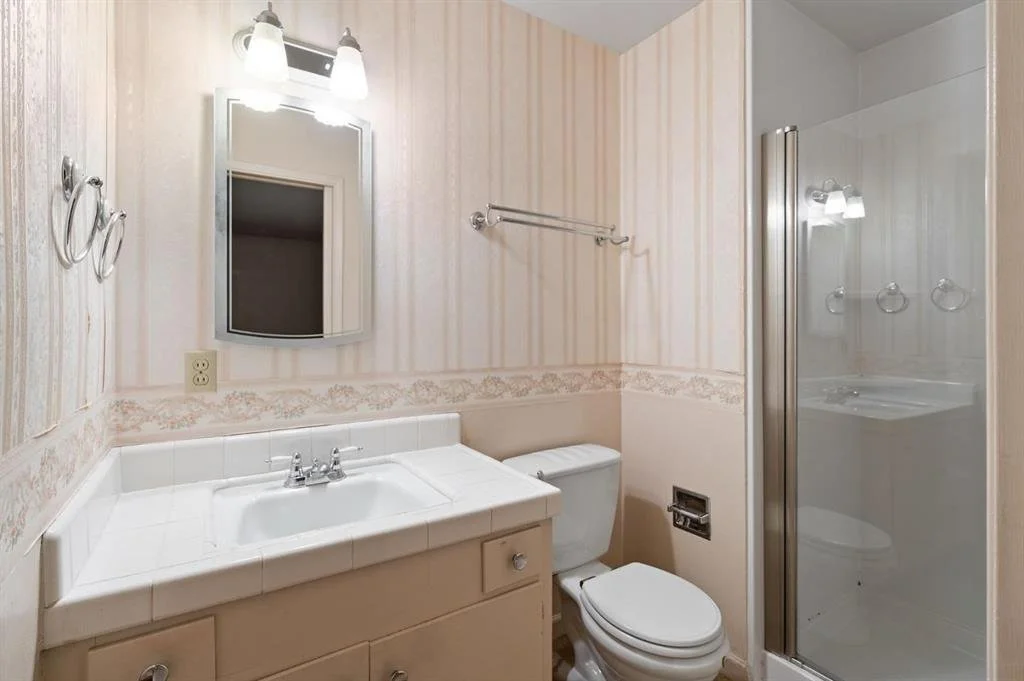Master Bath: BEFORE