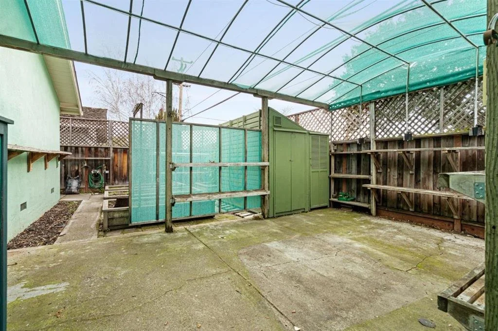 Backyard: BEFORE