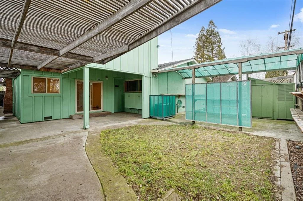 Backyard: BEFORE
