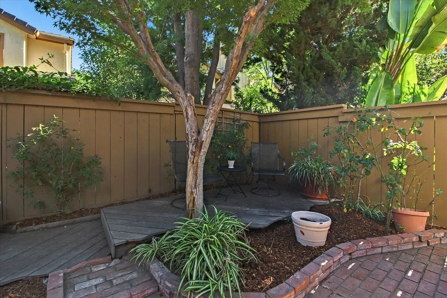 Backyard: BEFORE
