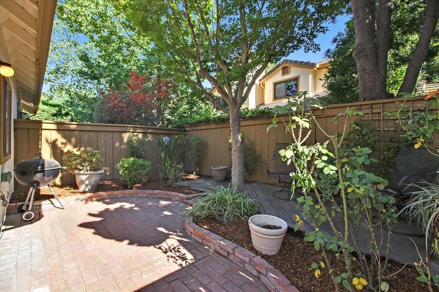 Backyard: BEFORE